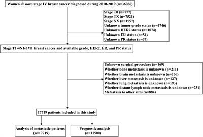 Patterns of distant metastasis and survival outcomes in de novo metastatic breast cancer according to age groups